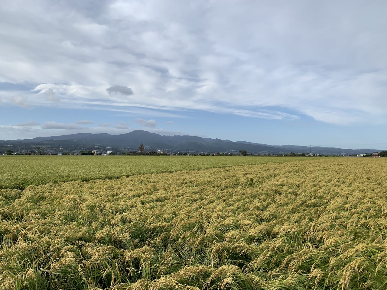 小野から望む太良連峰