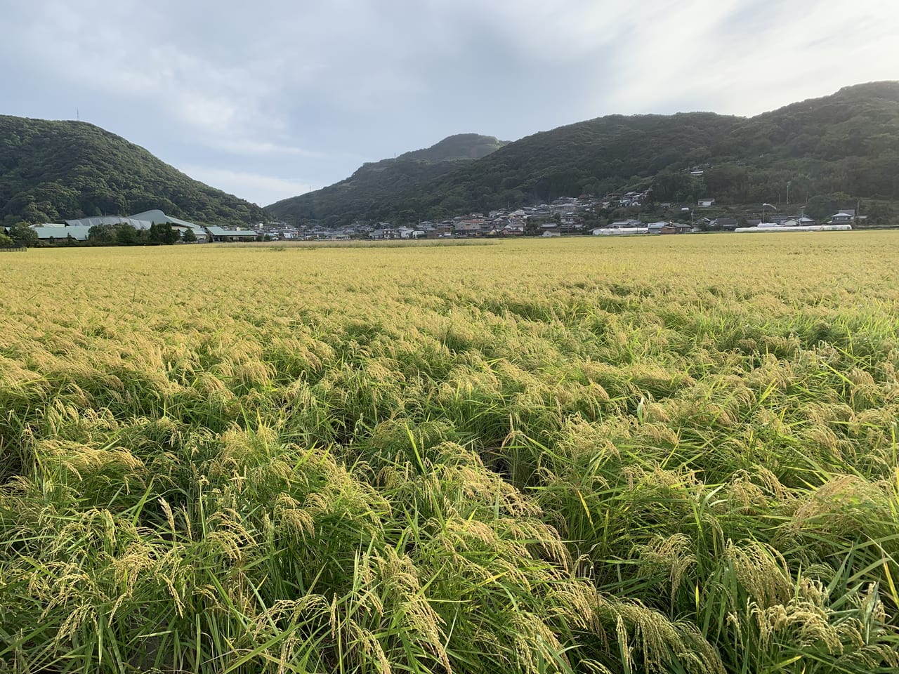 森山の山