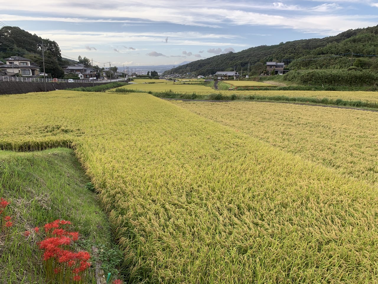 川床町段々