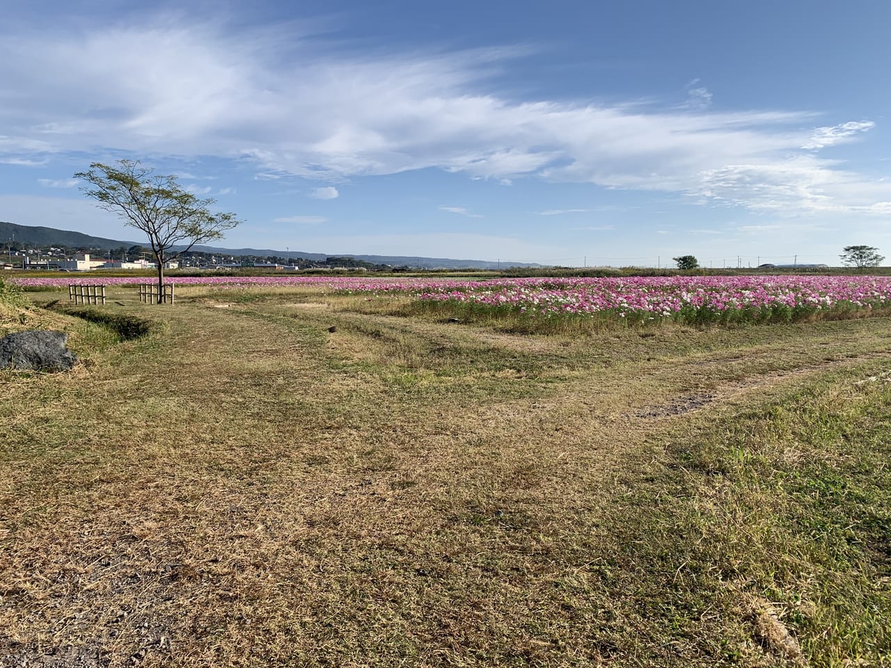 高来干陸地歩道