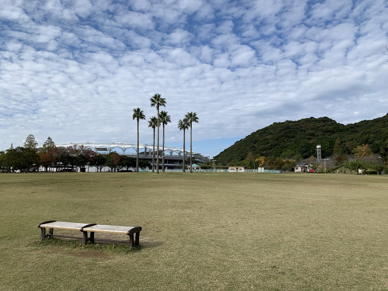 運動公園芝生広場