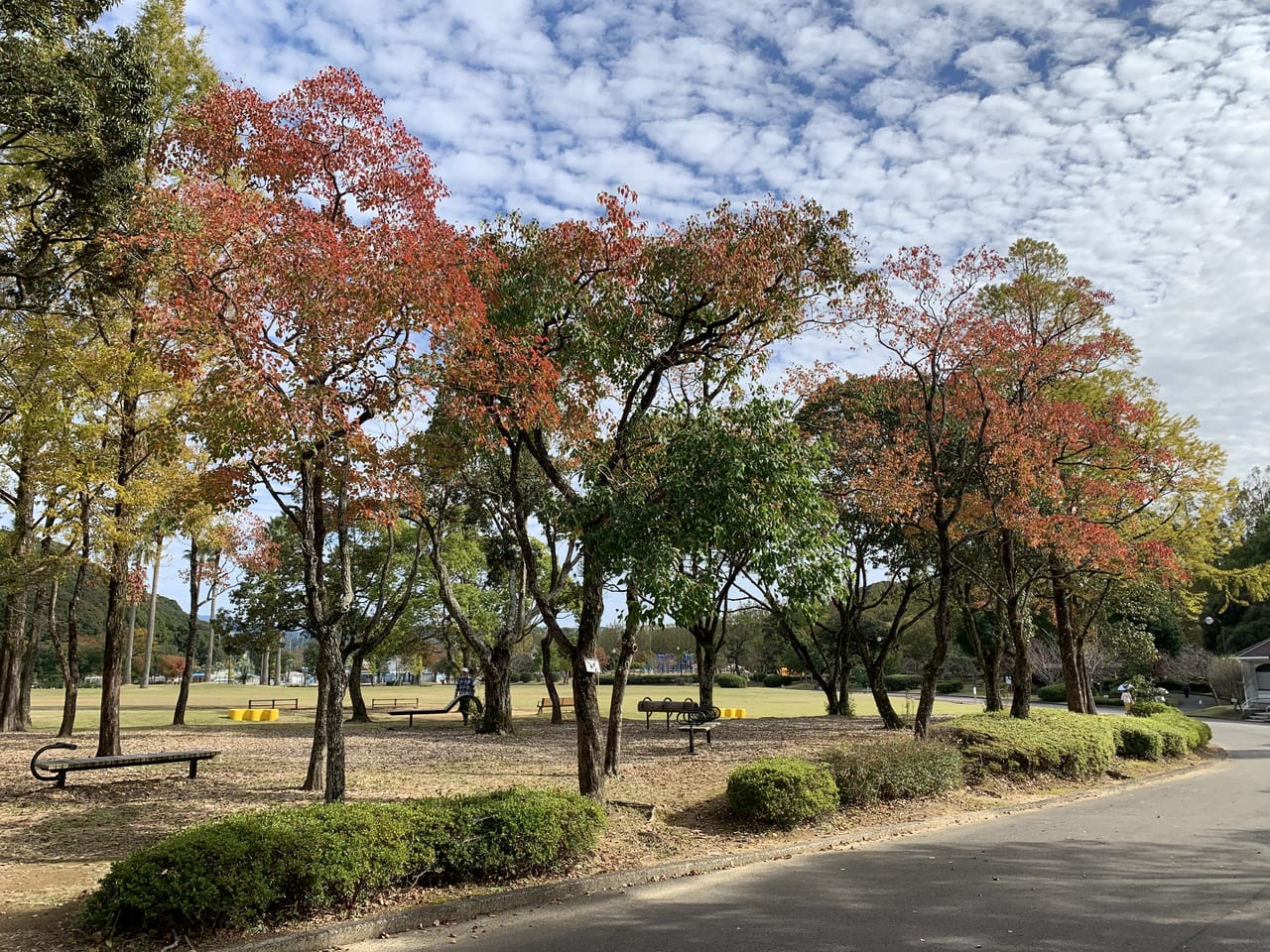 運動公園1