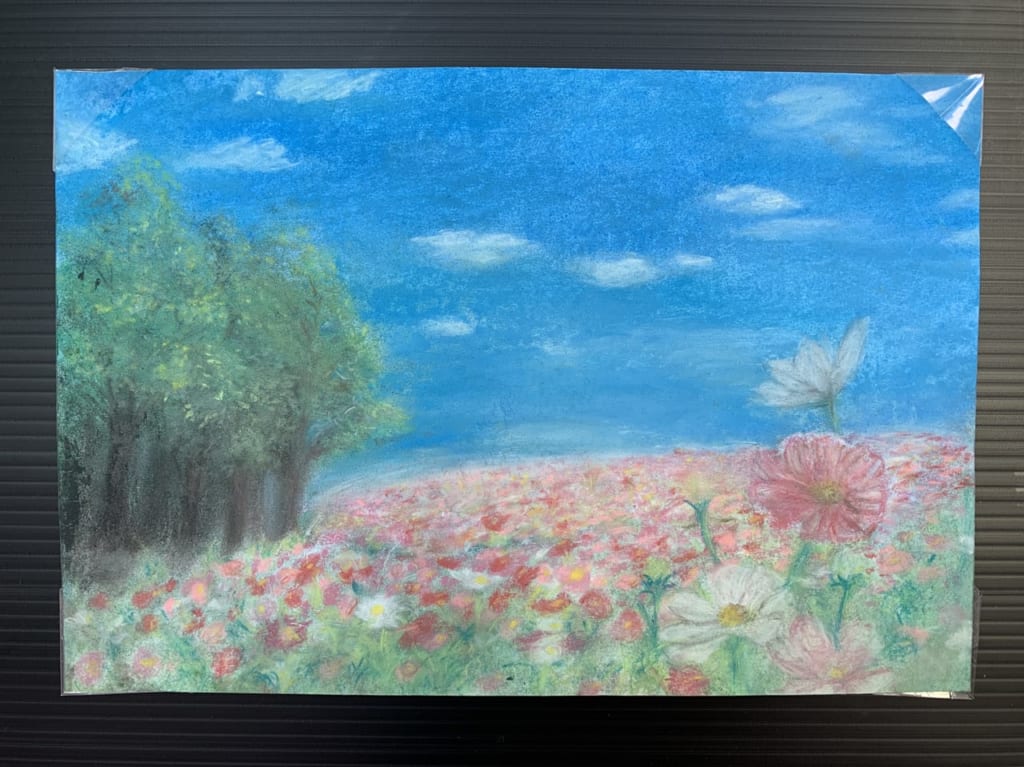 コスモス作品04